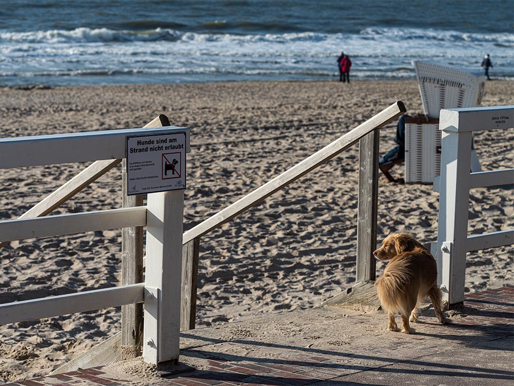 Blickwinkel Sylt Serie - Sehnsucht